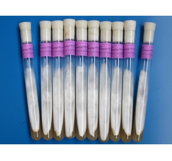 天麻萌發菌母種、原種、栽培種